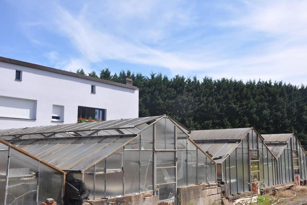 Gite St Nicolas Ancien Corps De Ferme Horticole Freyming-Merlebach Kültér fotó