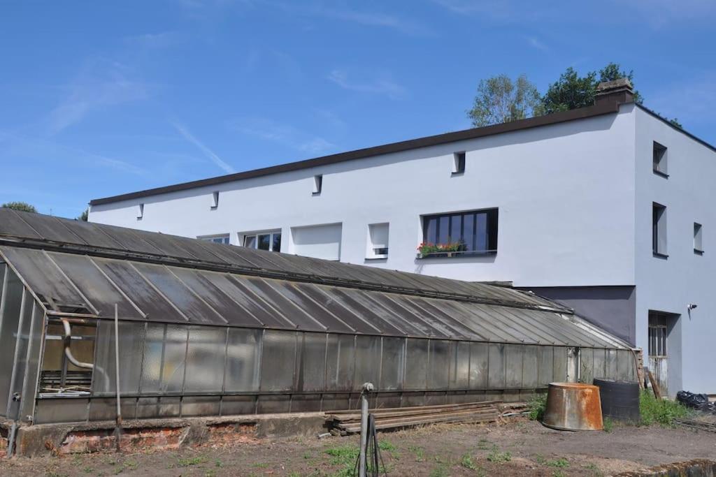 Gite St Nicolas Ancien Corps De Ferme Horticole Freyming-Merlebach Kültér fotó