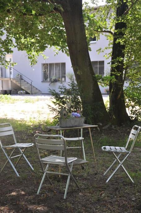 Gite St Nicolas Ancien Corps De Ferme Horticole Freyming-Merlebach Kültér fotó